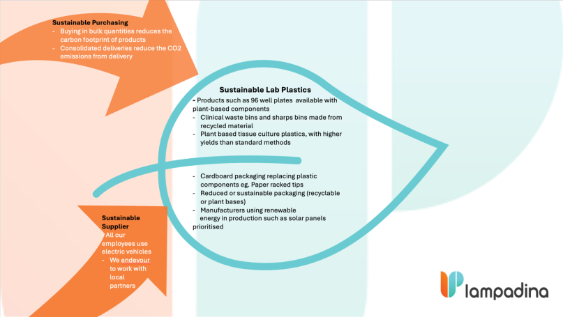 Lampadina lab sustainability